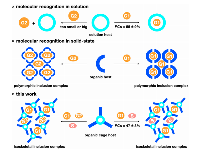 Organic cage inclusion crystals exhibiting guest-enhanced multiphoton harvesting