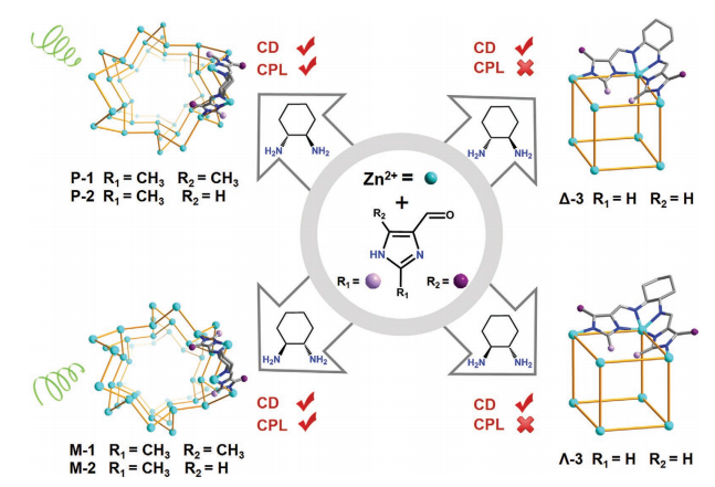 Turn-On Circularly Polarized Luminescence in  Metal–Organic Frameworks