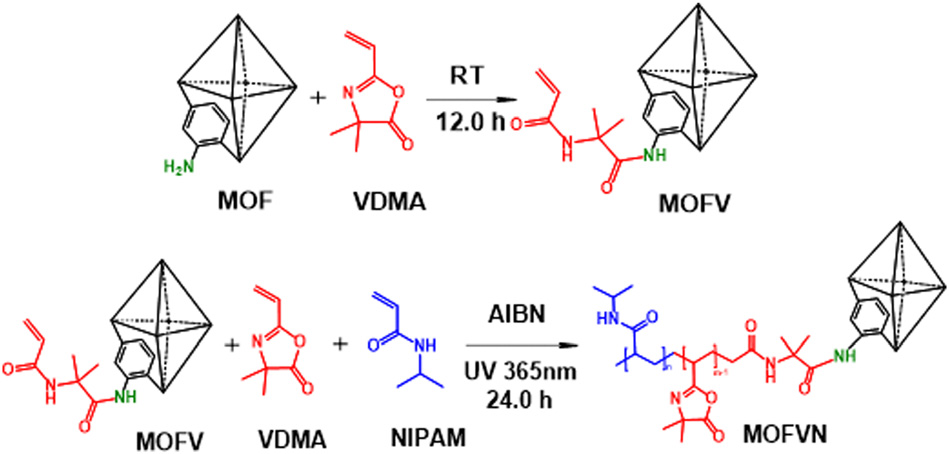 Thermo-responsive polymer-modified metal– organic frameworks as soft–rigid enzyme-reactors for enhancement of enzymolysis efficiency using a controllable embedding protocol