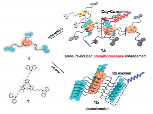 Pressure-induced phosphorescence enhancement and piezochromism of a carbazole-based cyclic trinucl...